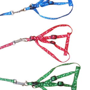 Dog leash