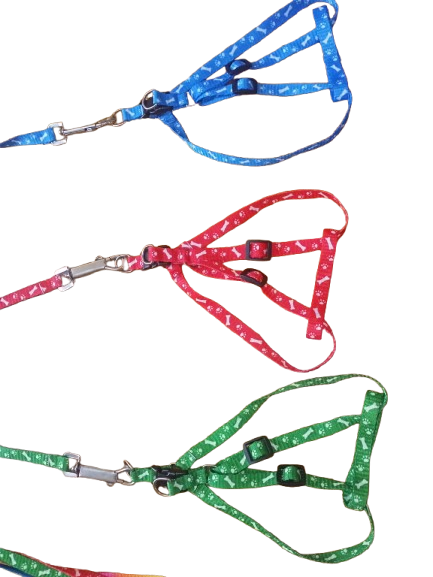Dog leash