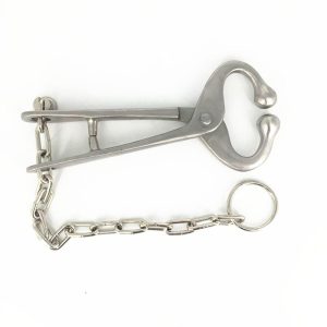 Bull Holder With Chain