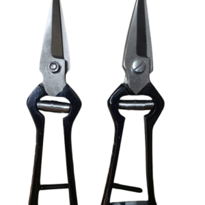 Foot Rot Shears
