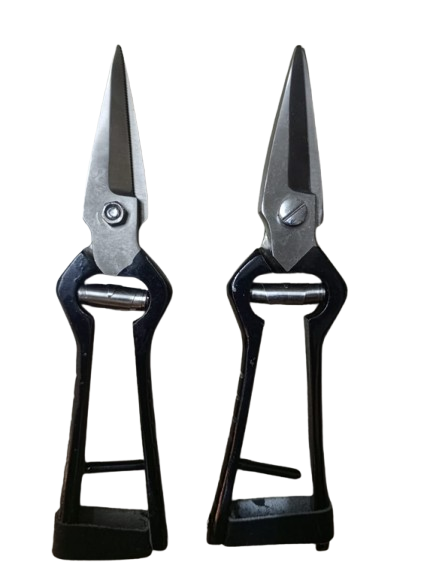 Foot Rot Shears