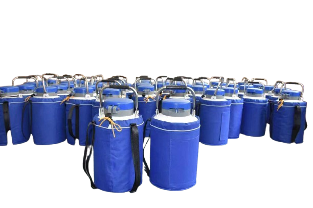 Liquid Nitrogen Containers