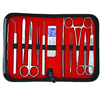 Dissecting Kit