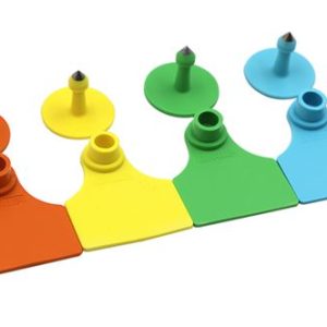 Ear Tags Medium