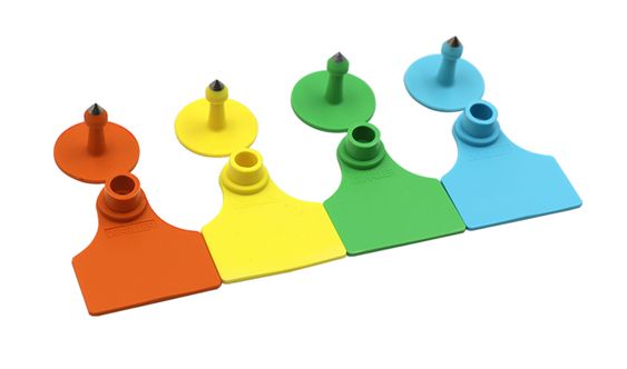 Ear Tags Medium